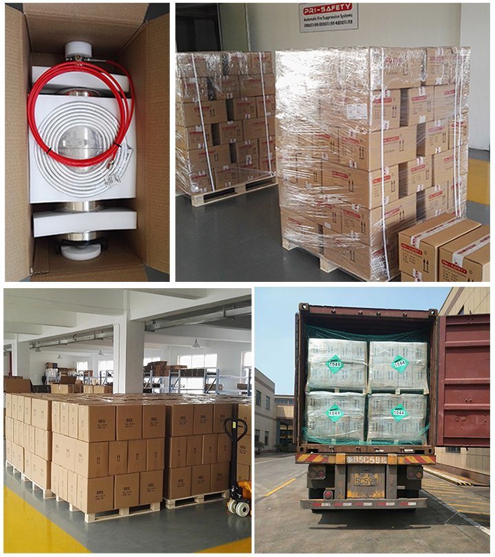 Pri-Safety Indirectly Automatic Fire Suppression System for Vehicle with Ce Certificate